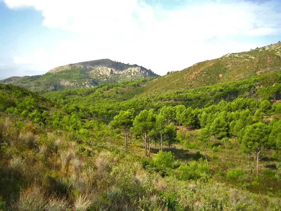 Parc naturel du Désert de Las Palmas