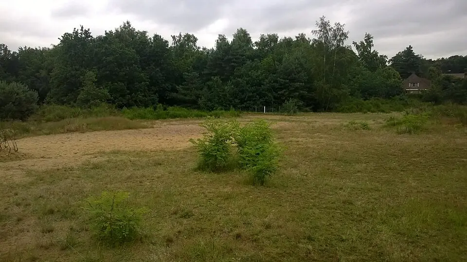 Zandberg