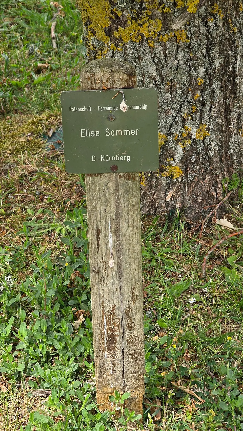 cimetière militaire allemand de Champigny-Saint-André