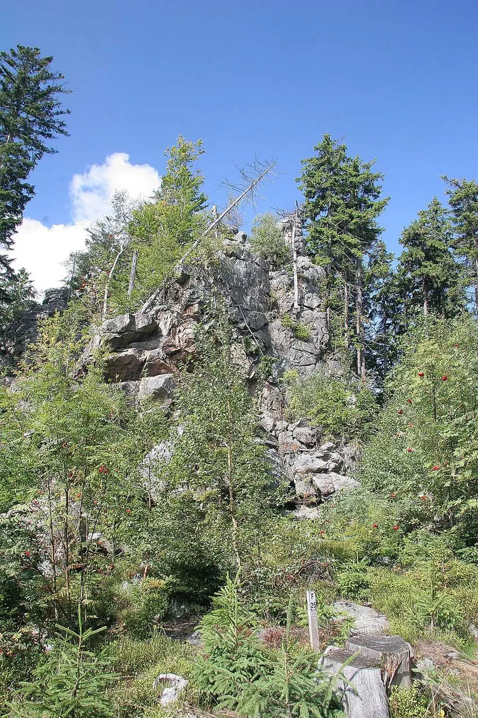 Žďárské vrchy