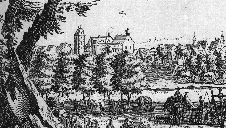 Burganlage Dieburg