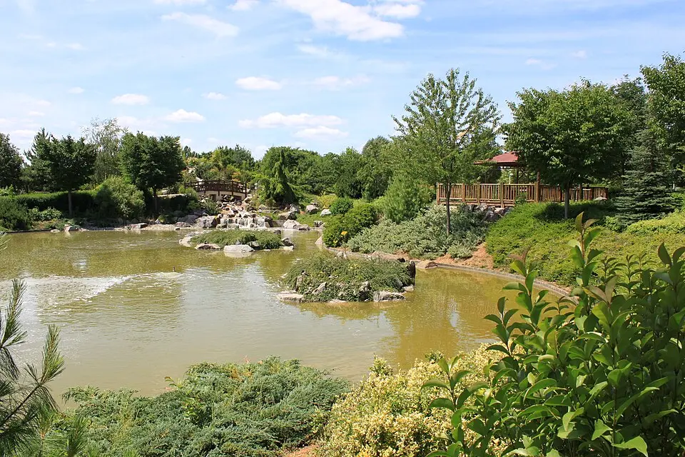 jardin japonais de Dijon