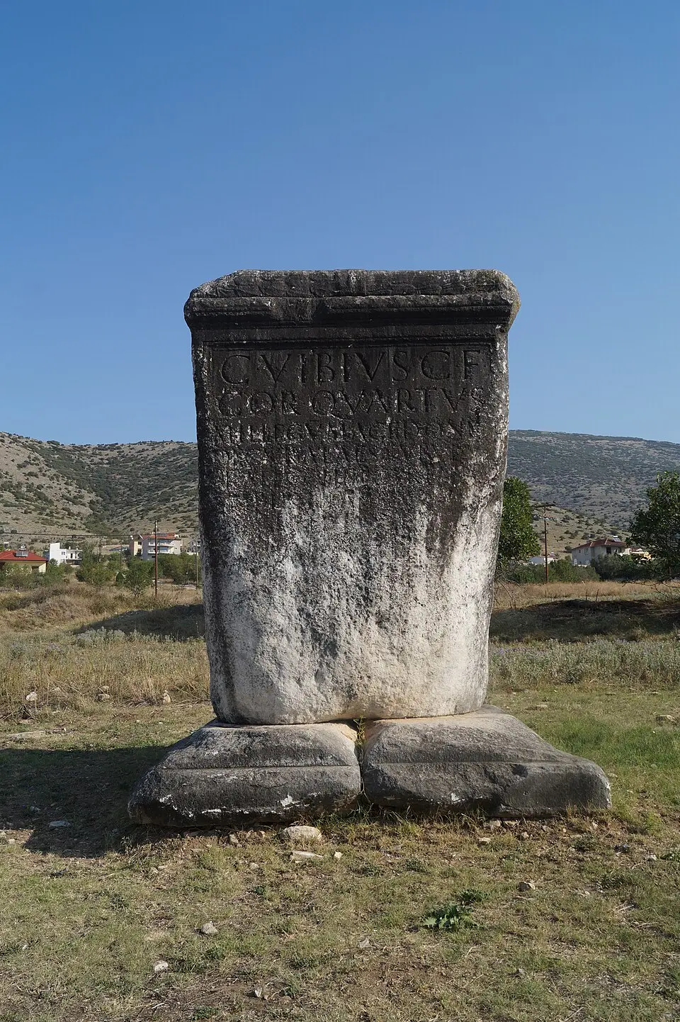 Ντικιλί Τας