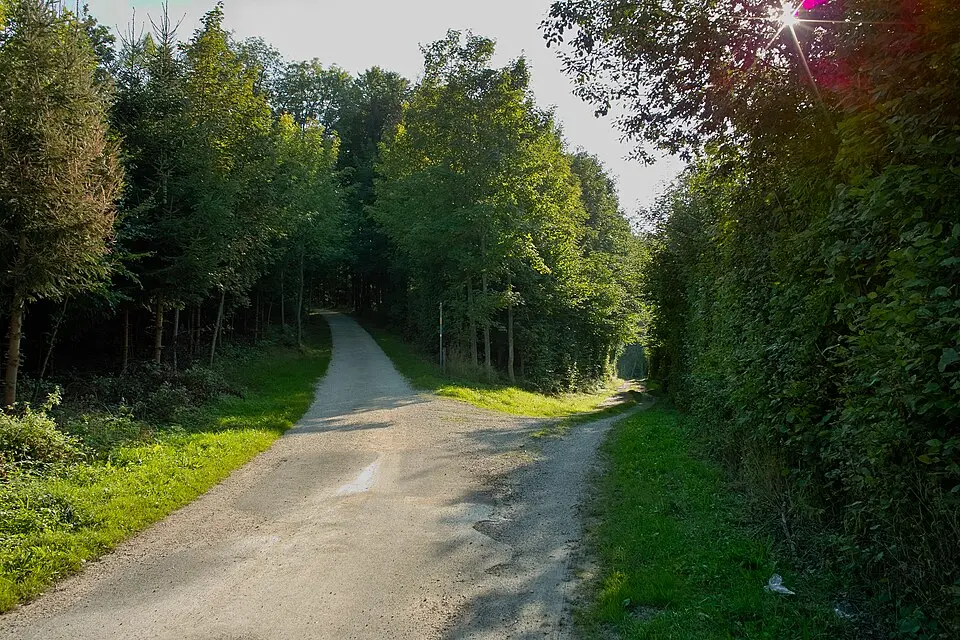 Dittiberg