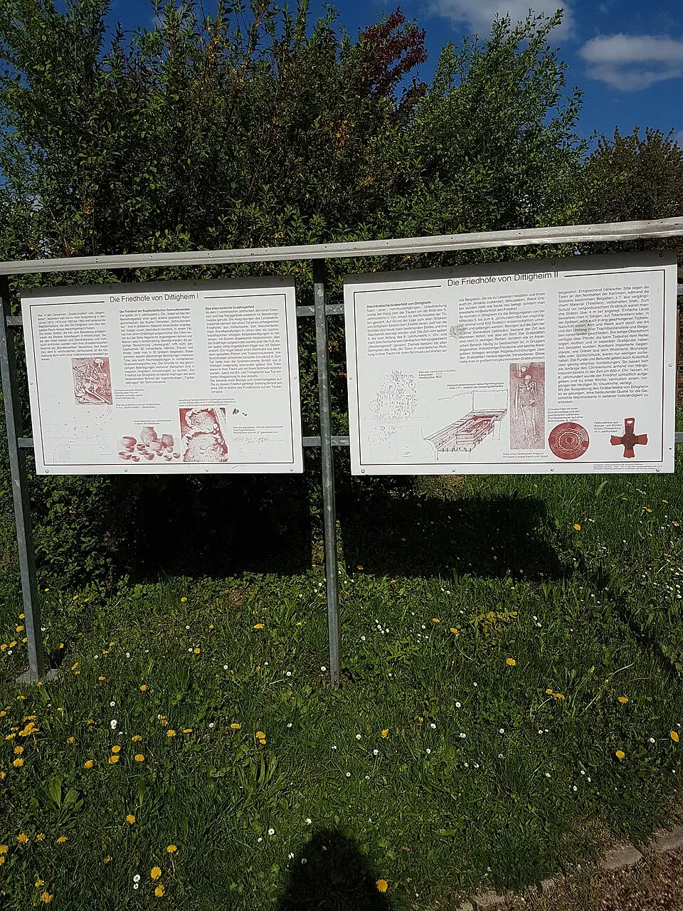 Schnurkeramikgräberfeld von Dittigheim (Tauberbischofsheim)
