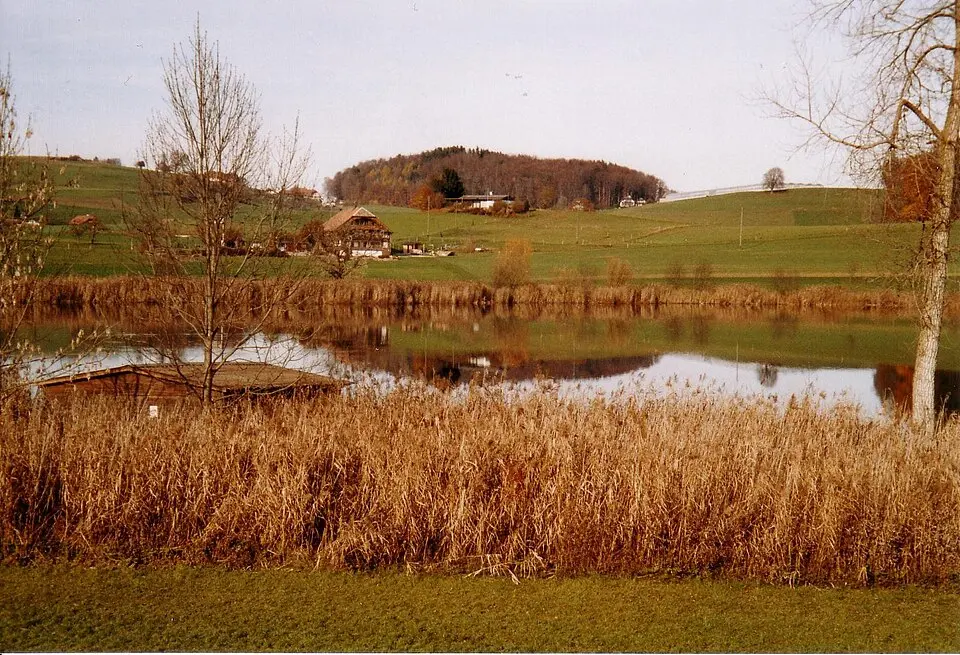 Image: Wolvus · CC BY-SA 2.5 Forst-Längenbühl