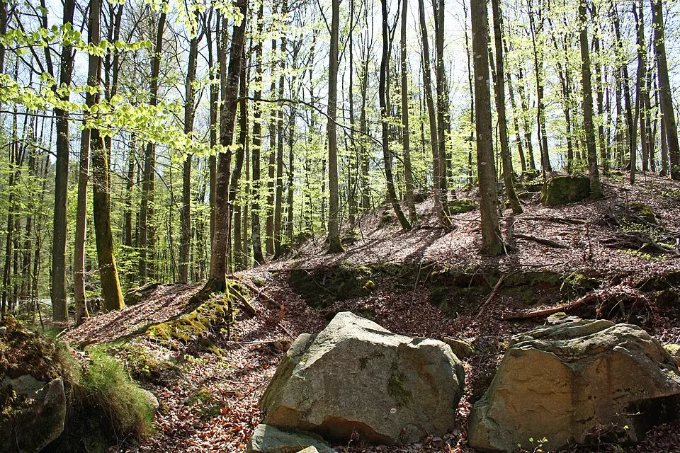 Djupadal naturreservat