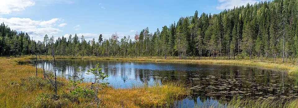 Djuptjärnkullen