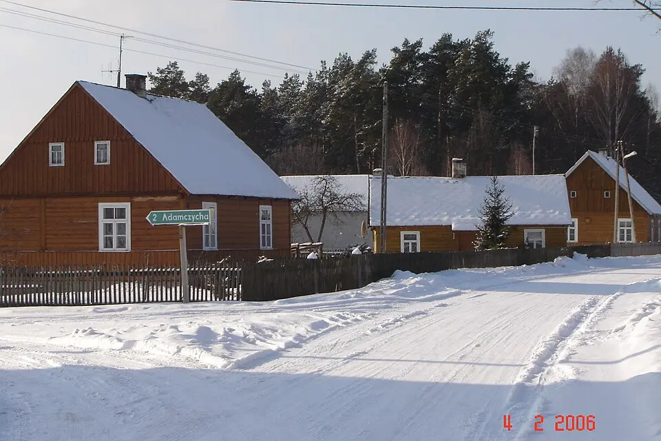 Dłutówka