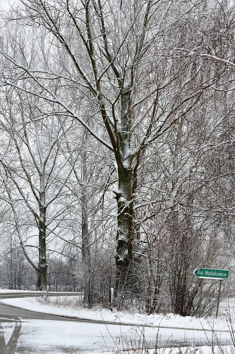 Myślakowice-Kolonia