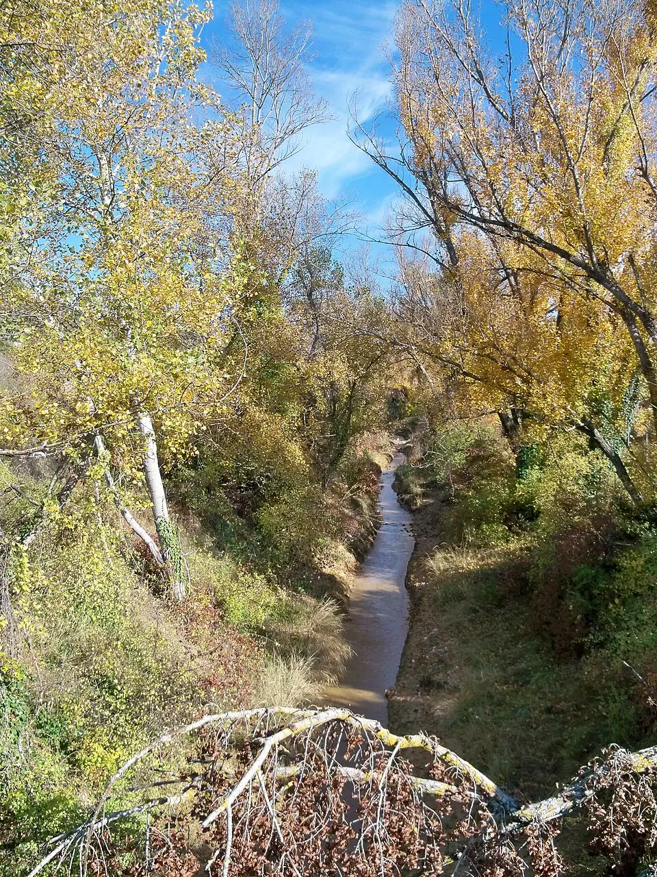 Dôa