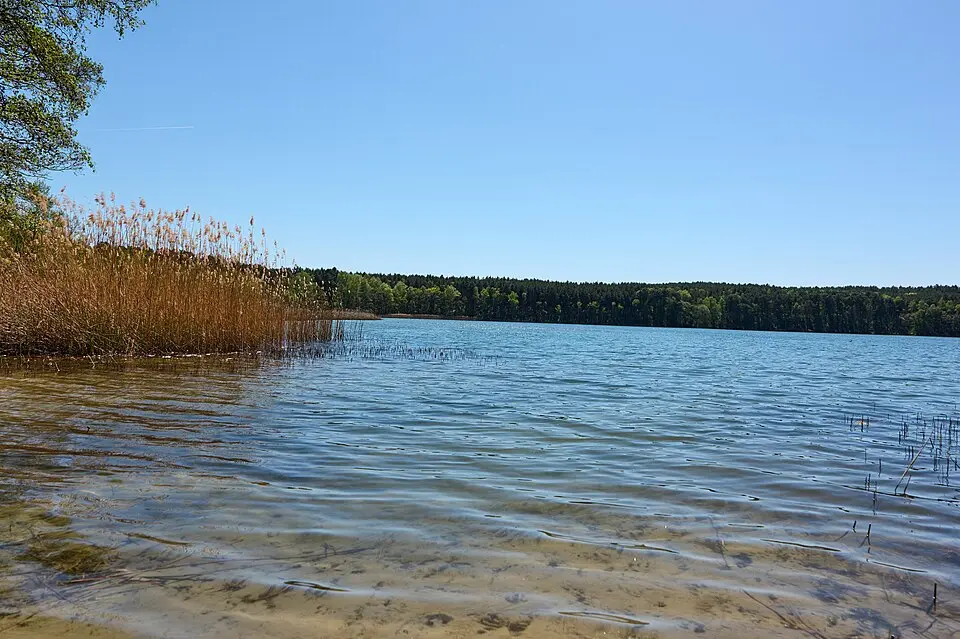Dobrasee