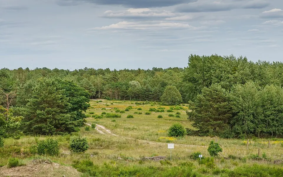 Döberitzer Heide