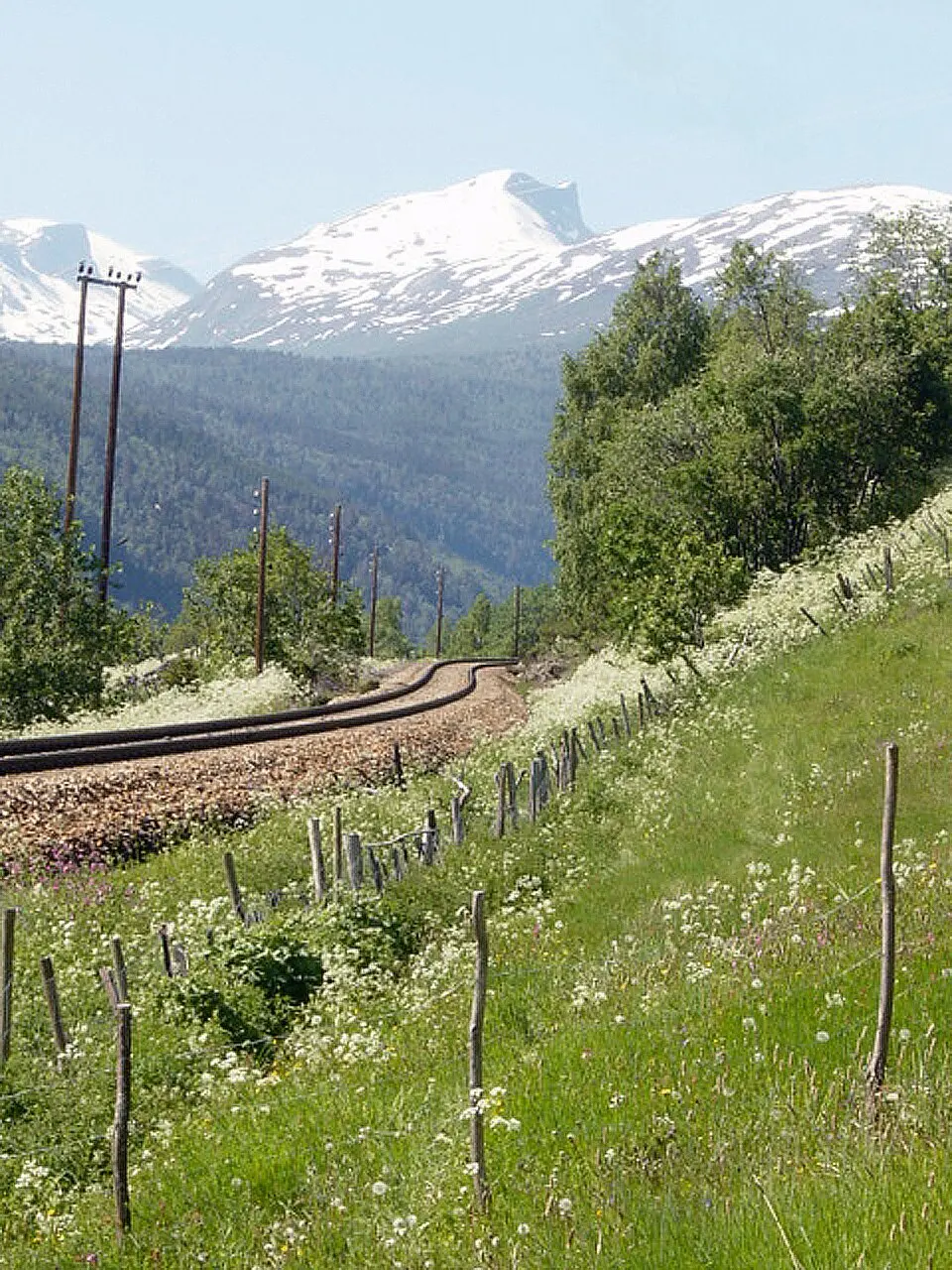 Døntfjellet