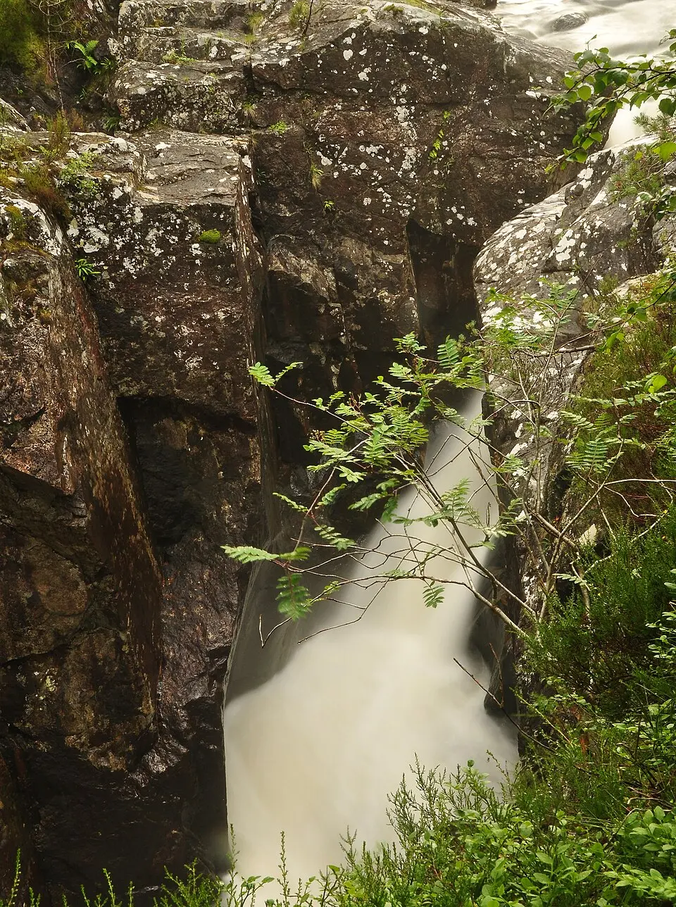 Dog Falls (Glen Affric)