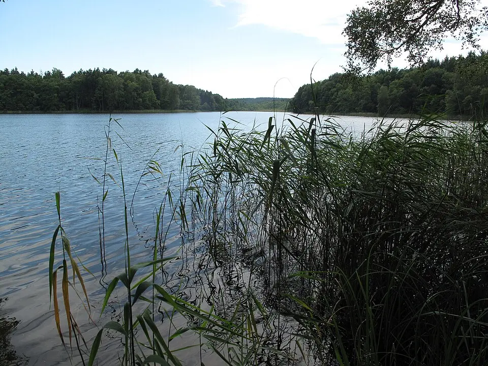 Dolgensee (Märkische Höhe)