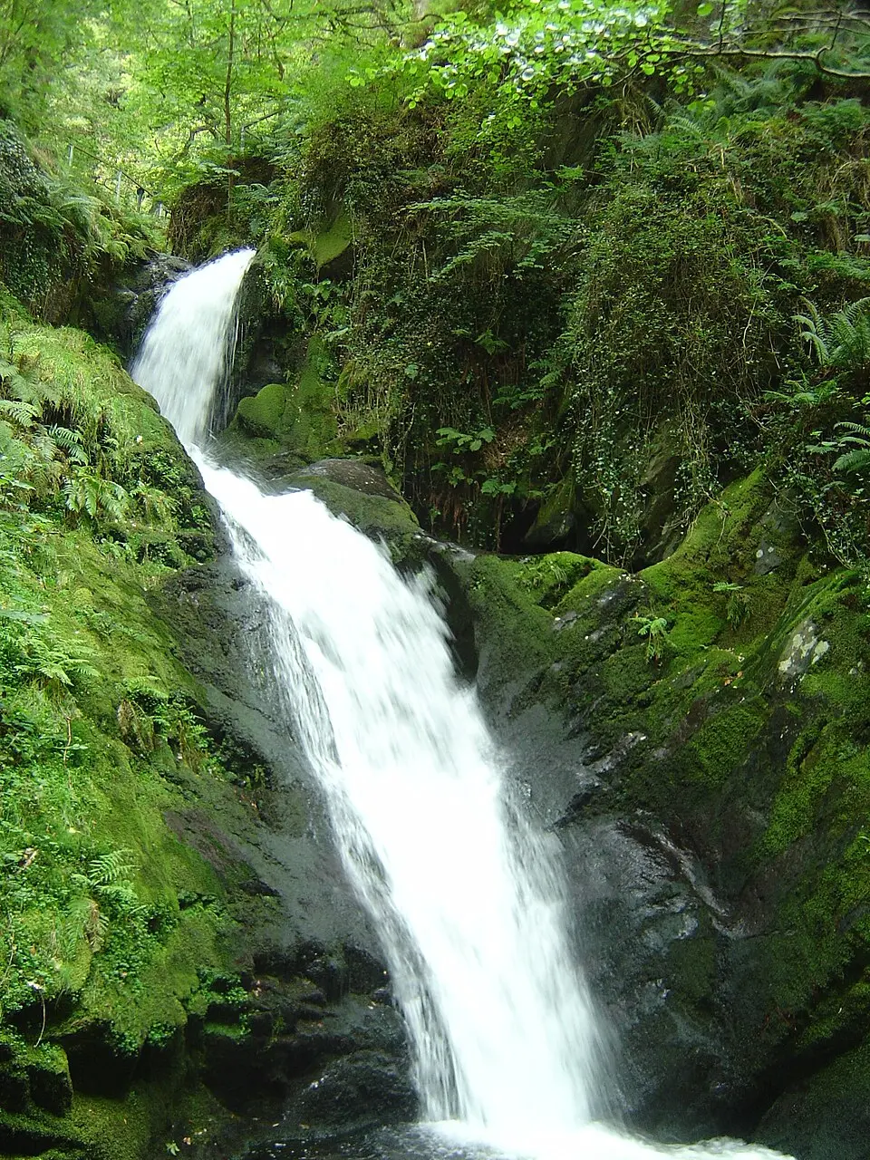 Dolgoch Falls