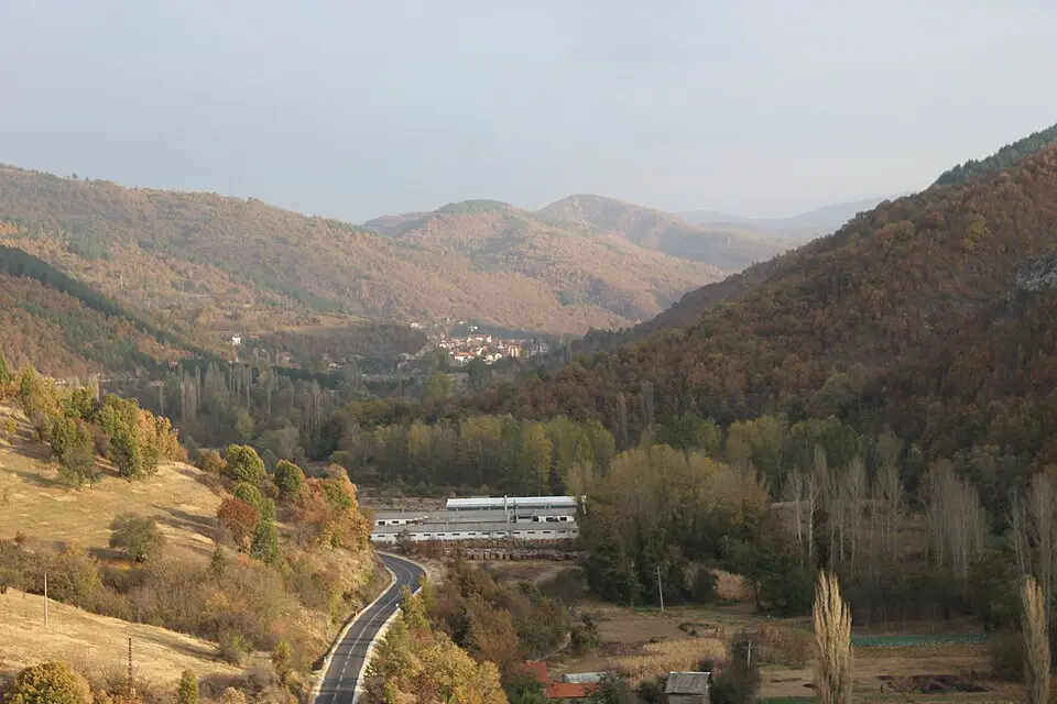 Pčinja