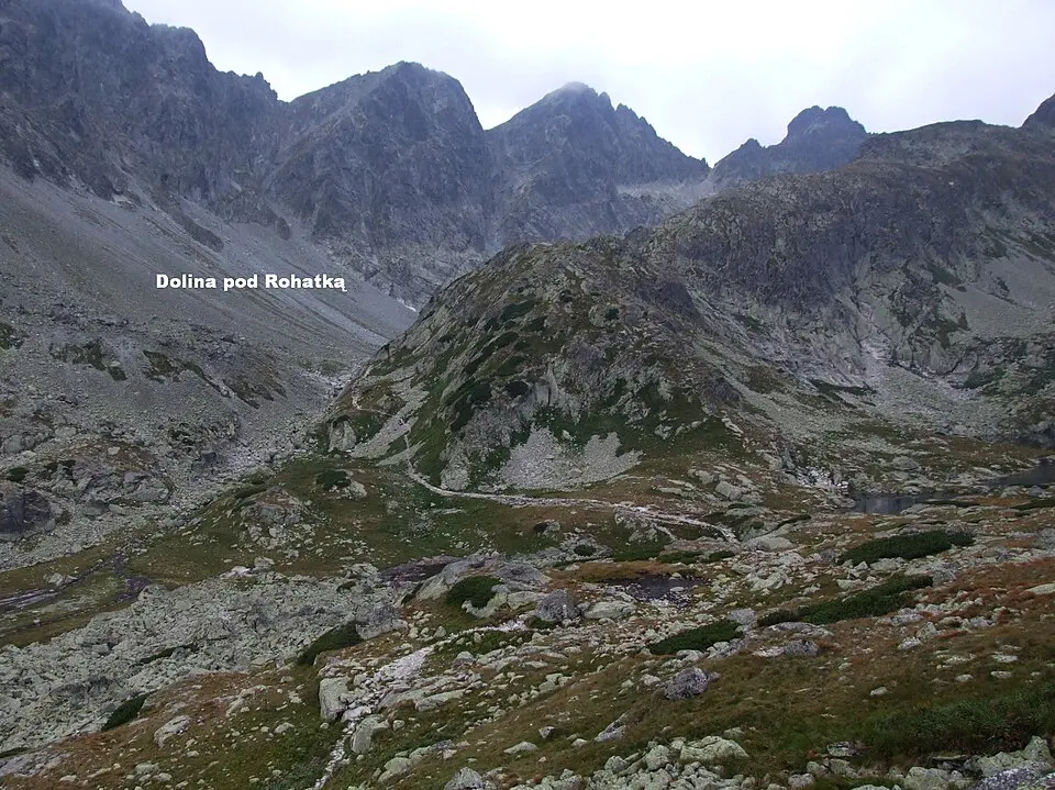 Kupola