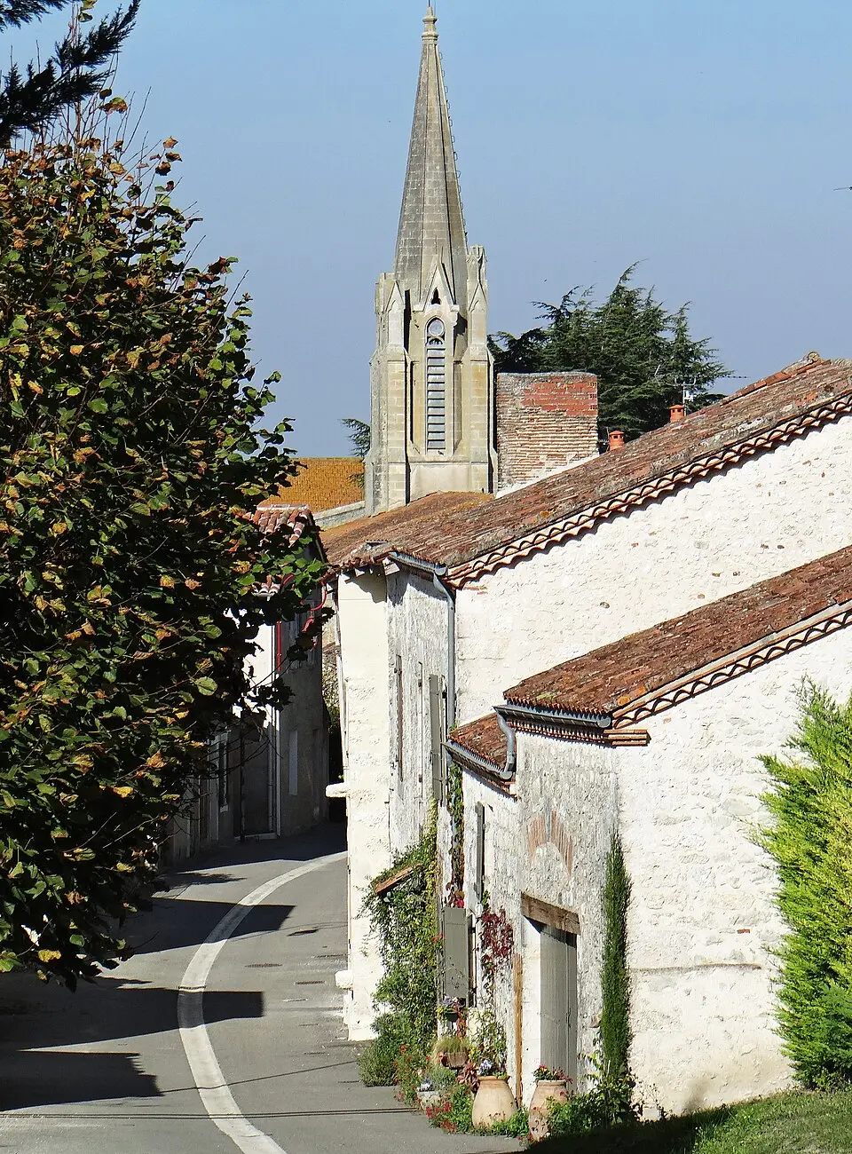 Dolmayrac
