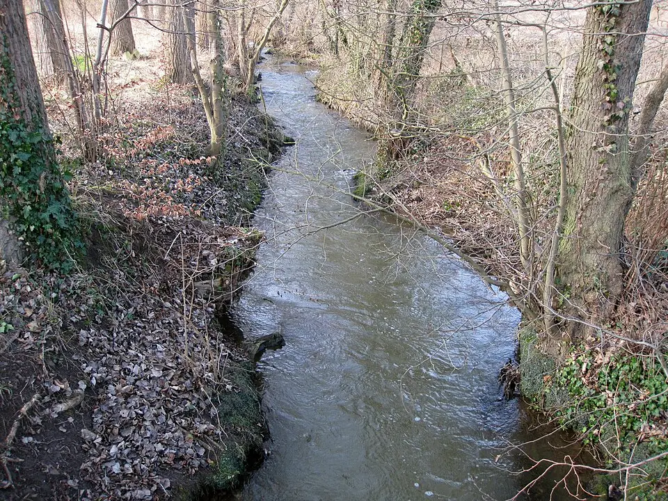 Image: Bungert55 · CC BY-SA 3.0 Veybach