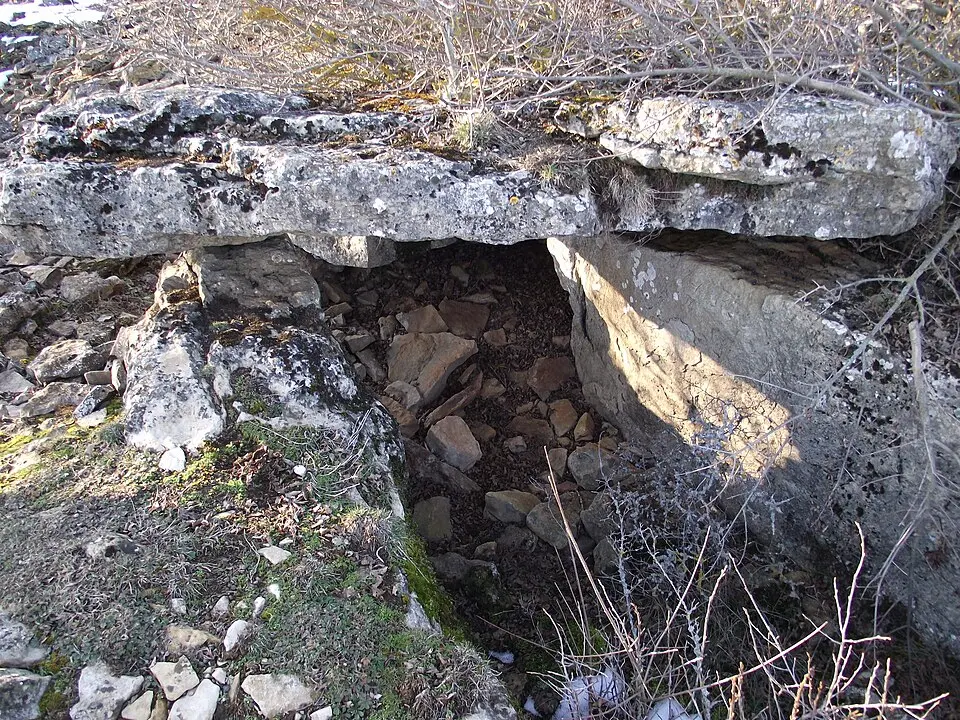 site mégalithique du plateau de Poujoulet