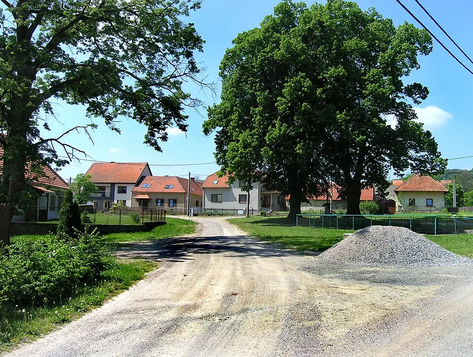 Střemchoví