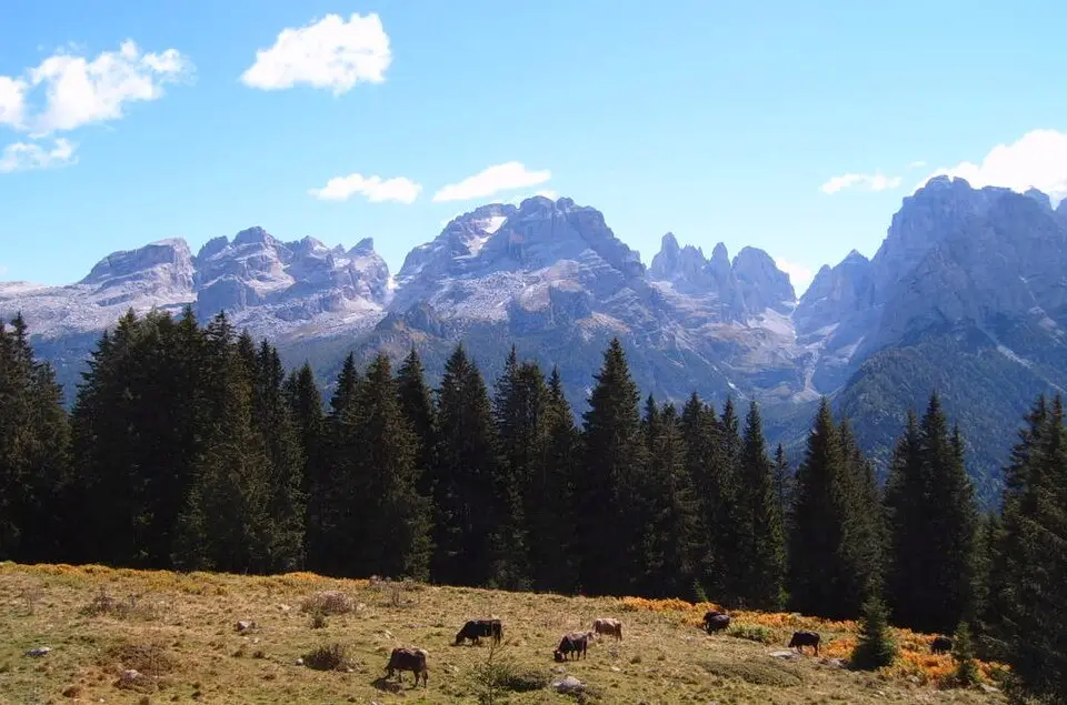 Skupina Brenta