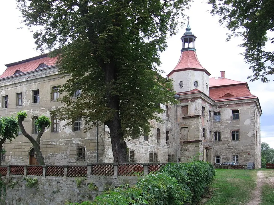 Pałac w Domanicach