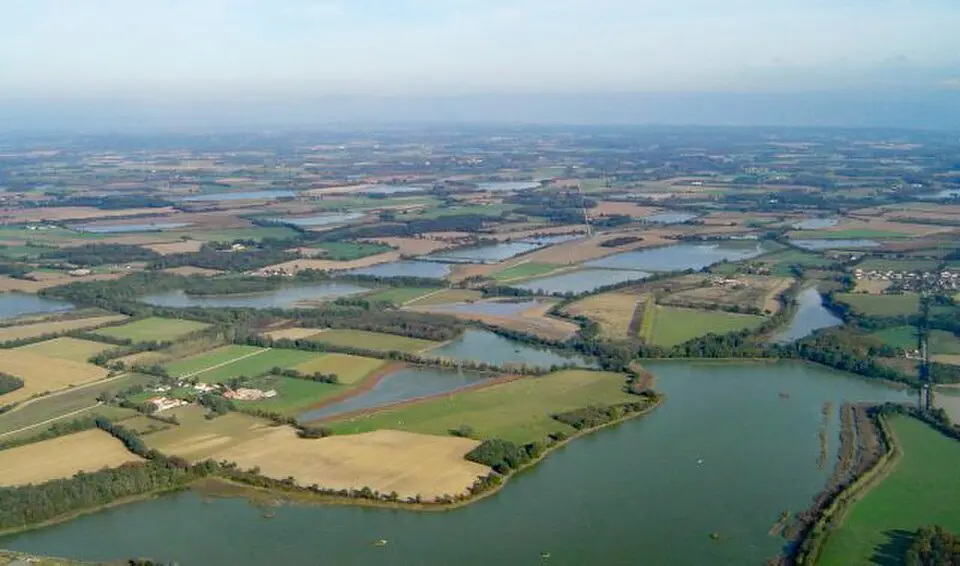 Dombes