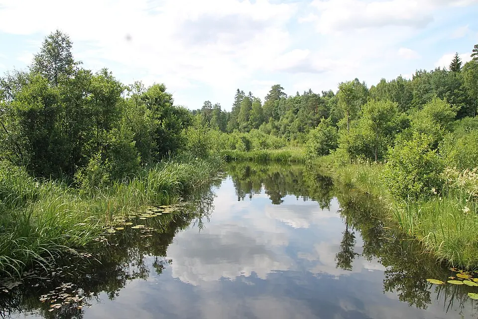 Domneåns naturreservat