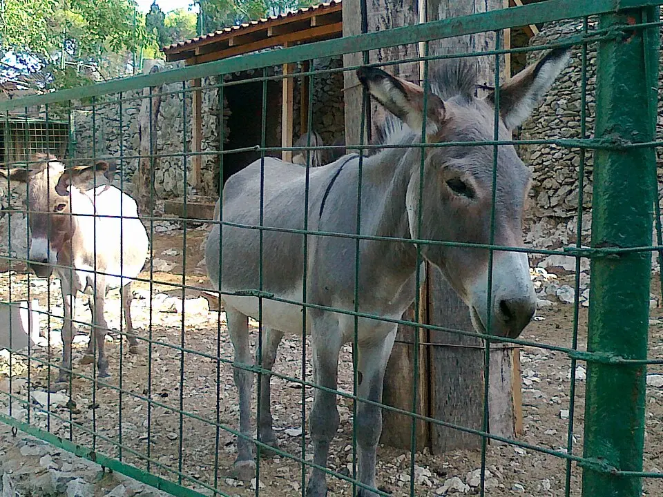 Prirodoslovni muzej i zoološki vrt grada Splita
