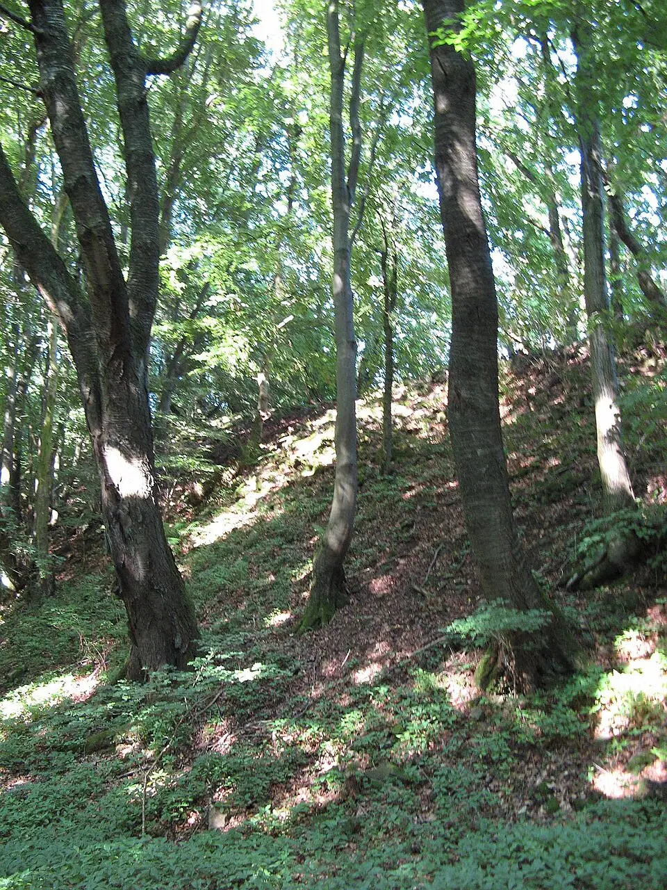 Bild: Oliver Abels (SBT) · CC BY 2.5 Dornburg (Oppidum)
