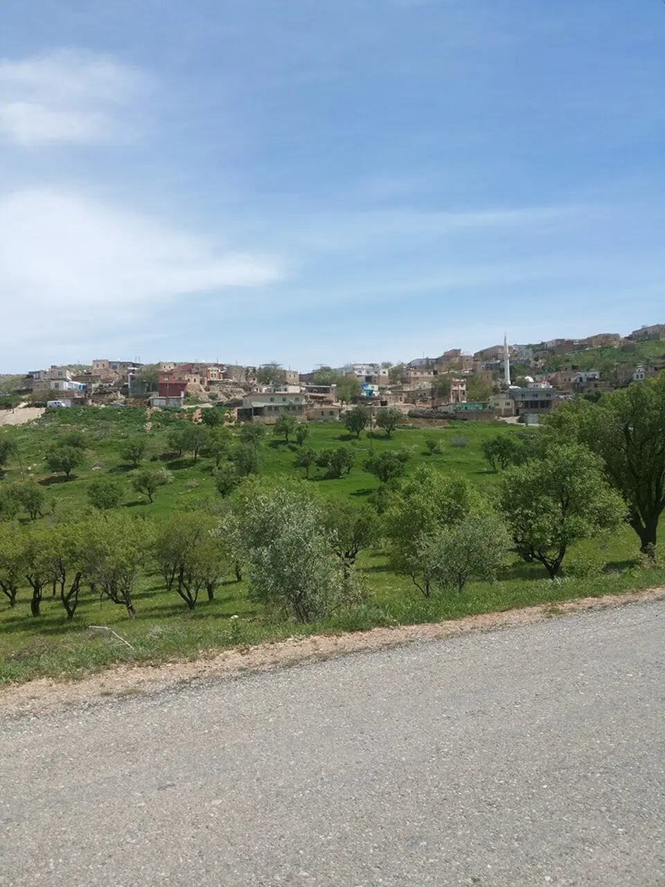 Doruk