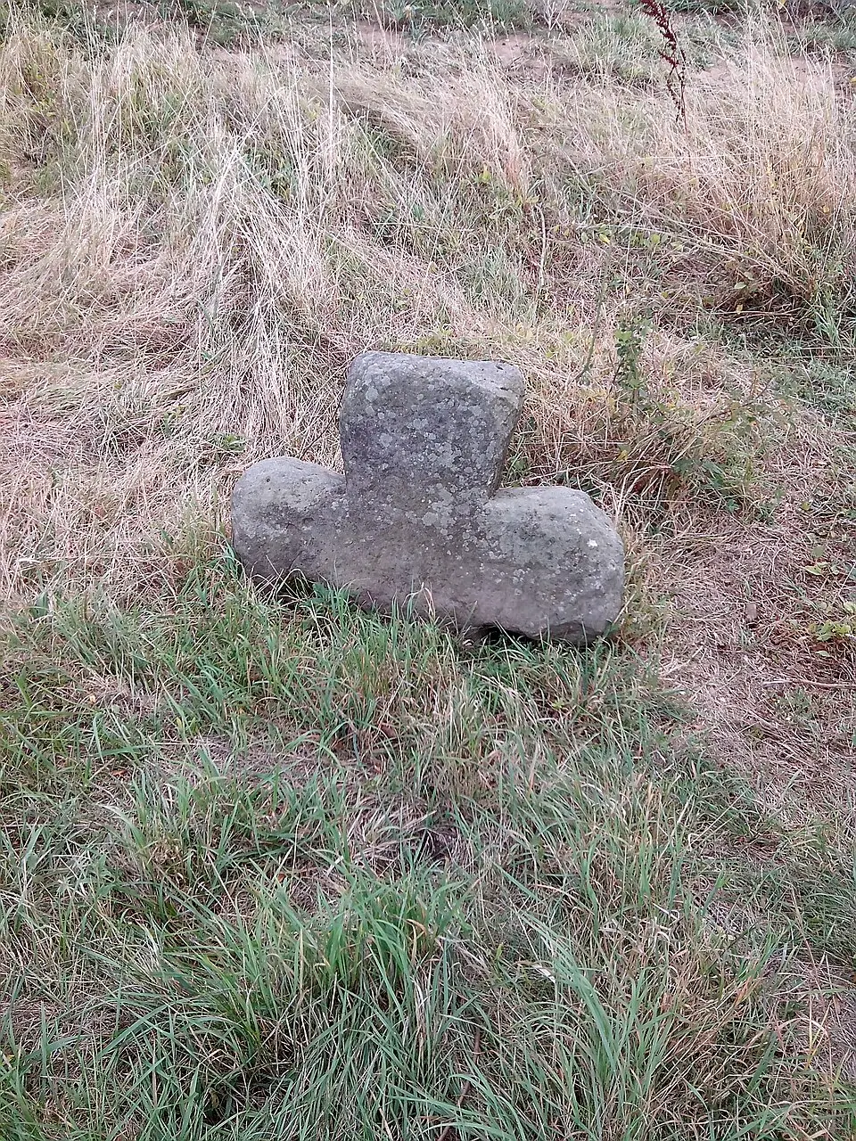 Doubravice u Dvora Králové
