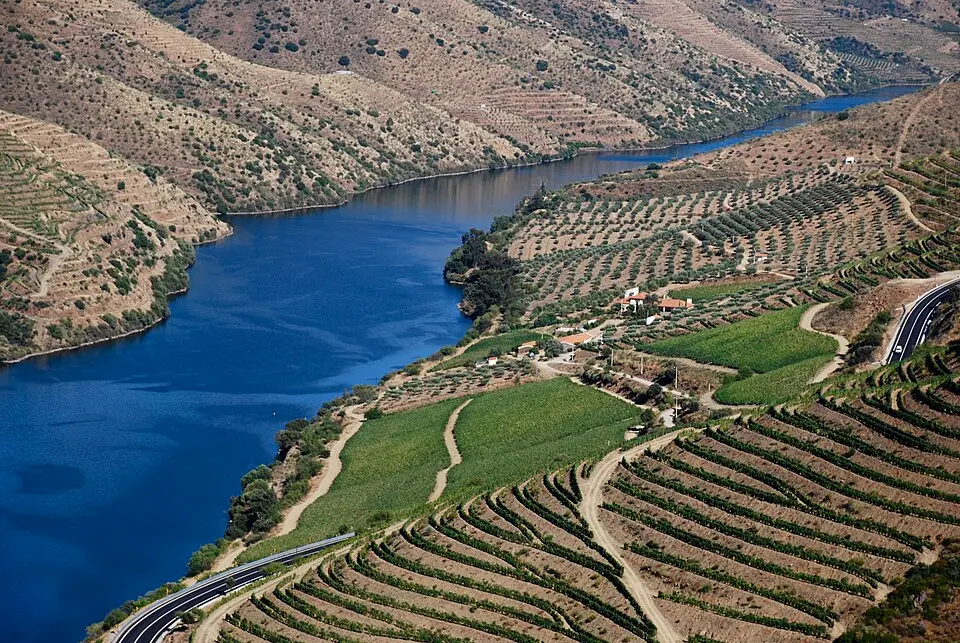 Région viticole du Haut-Douro