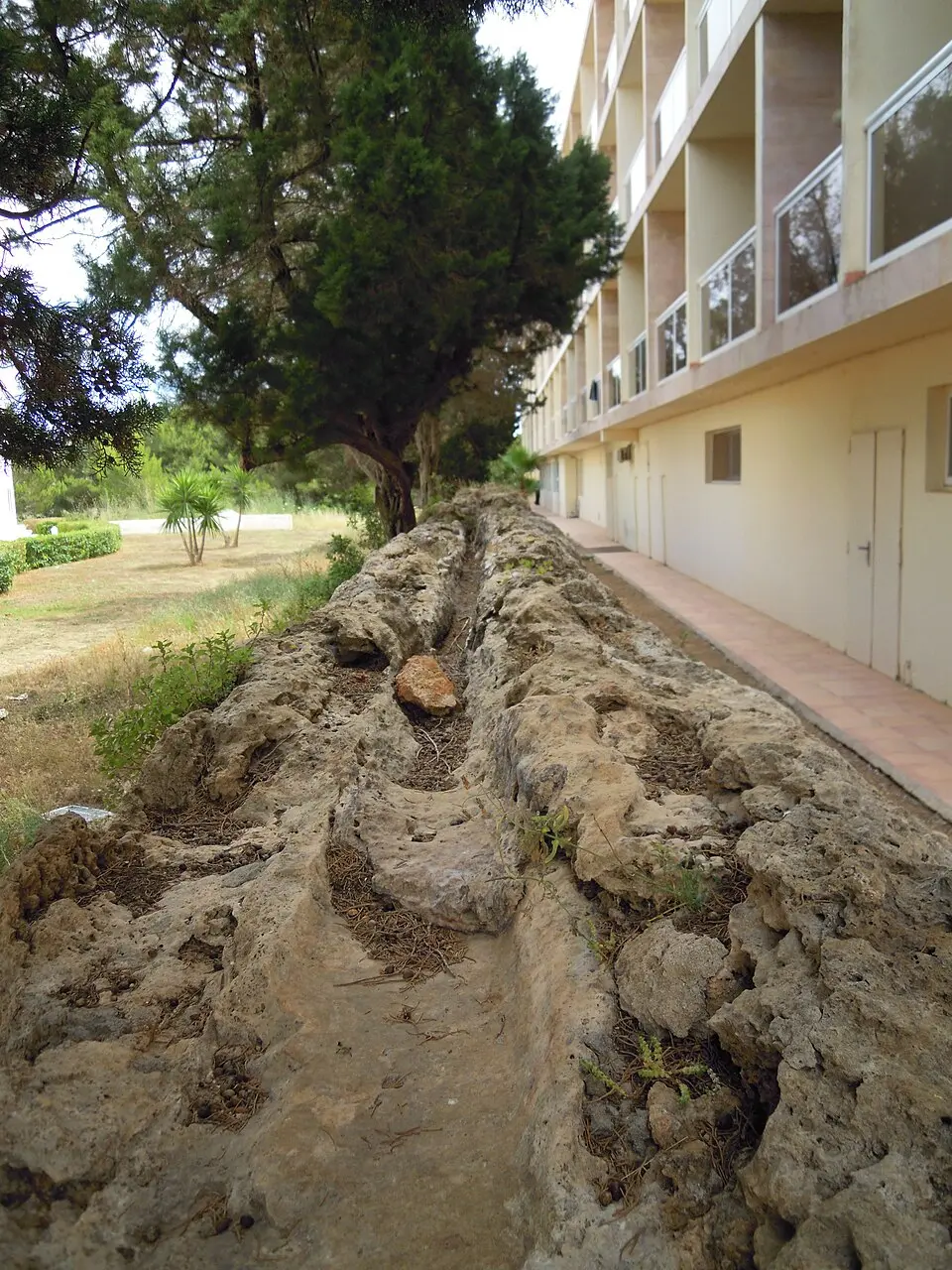 Acueducto de S'Argamassa