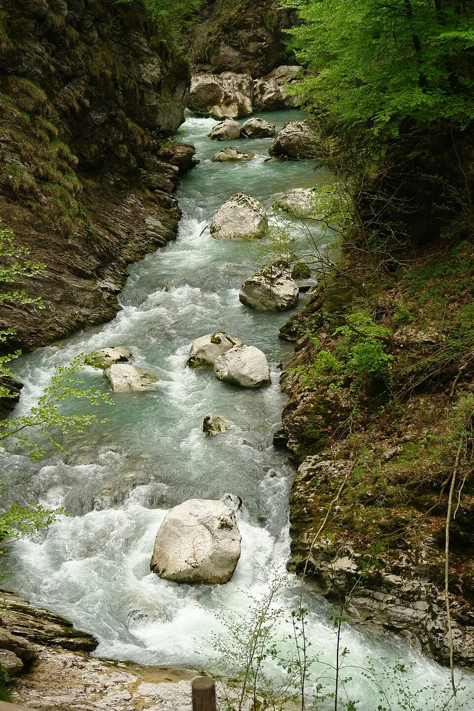 Dranse de Morzine