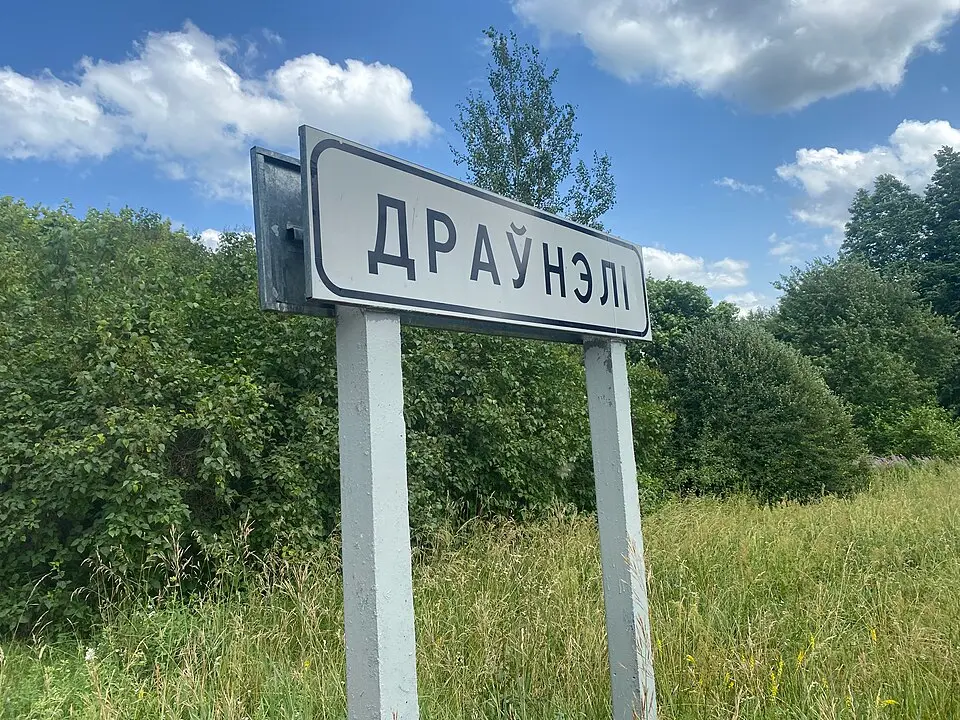 Драўнэлі