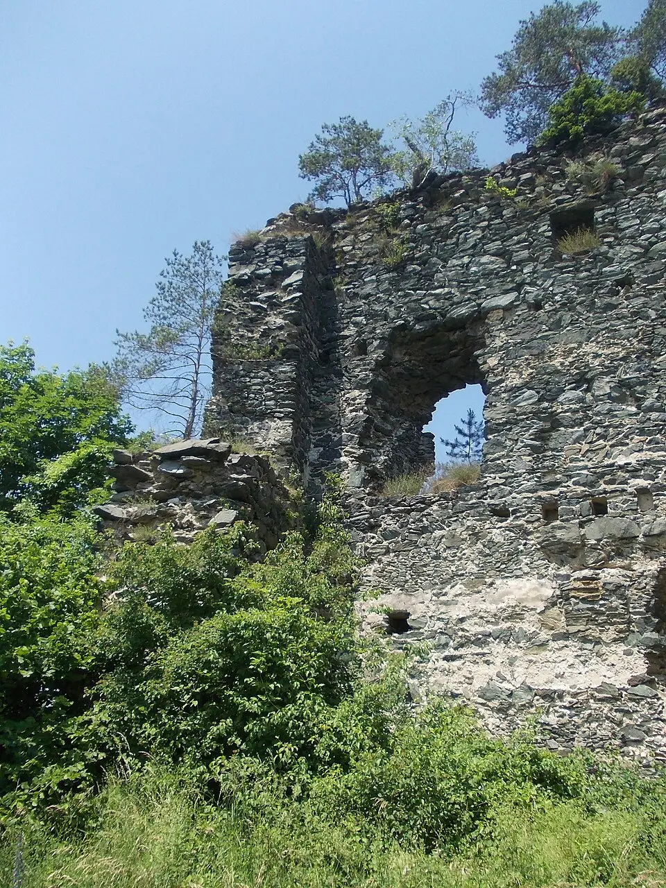 Grad Dravograd