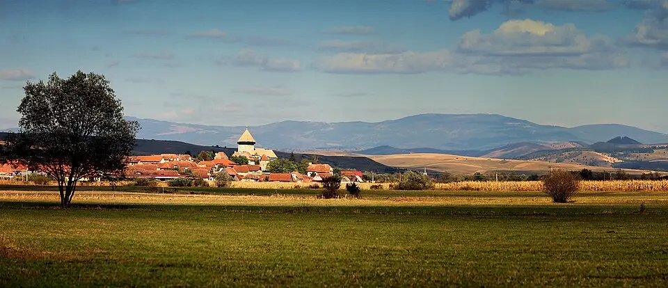Cața