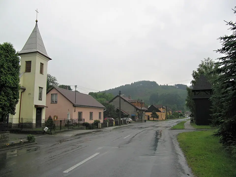 Držková