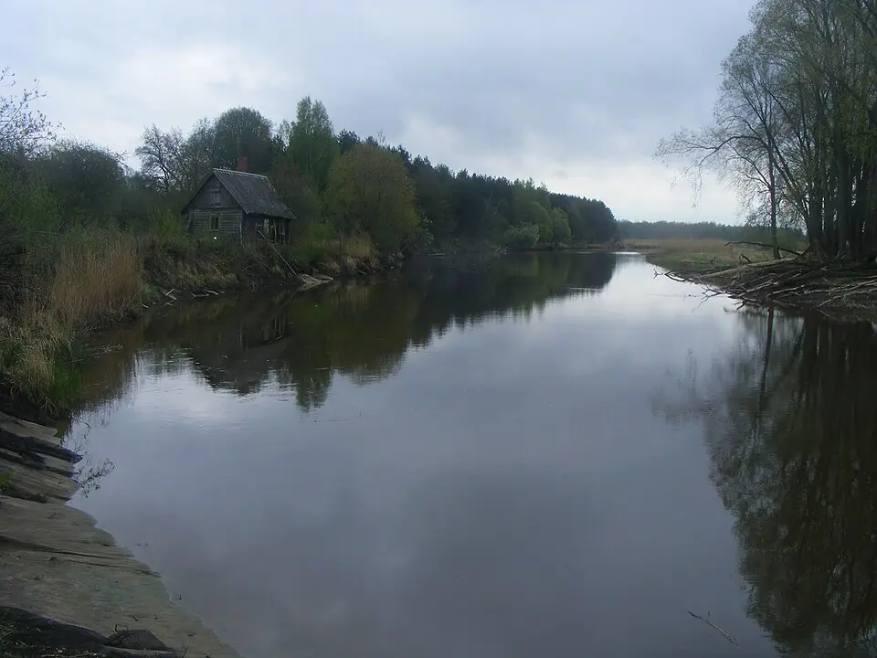 Puhja vald