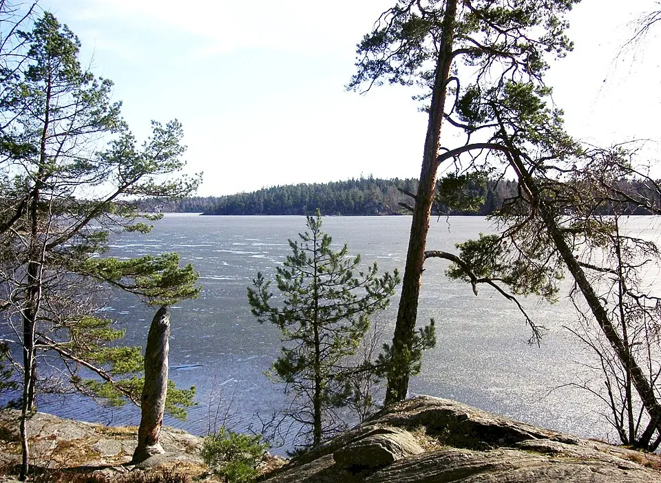 Drevviken