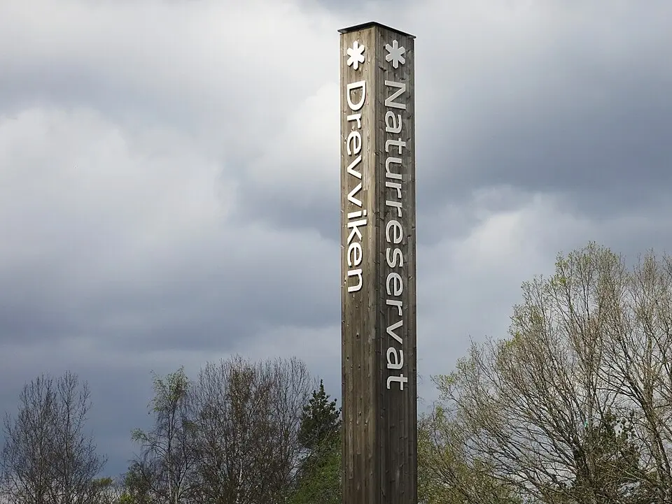 Drevviken