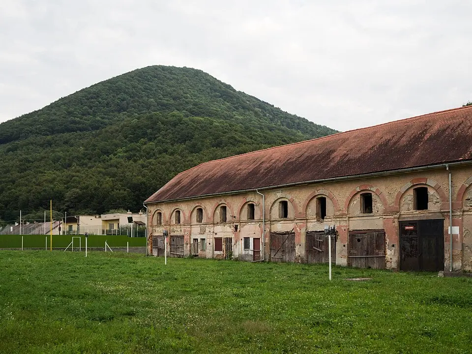 Drieňovec
