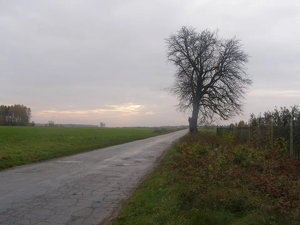 distretto di Opoczno