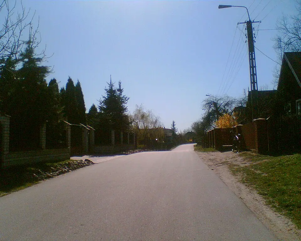 Turzyn