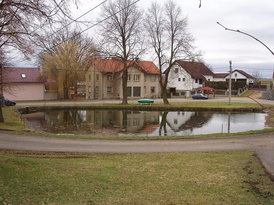 Druhlice