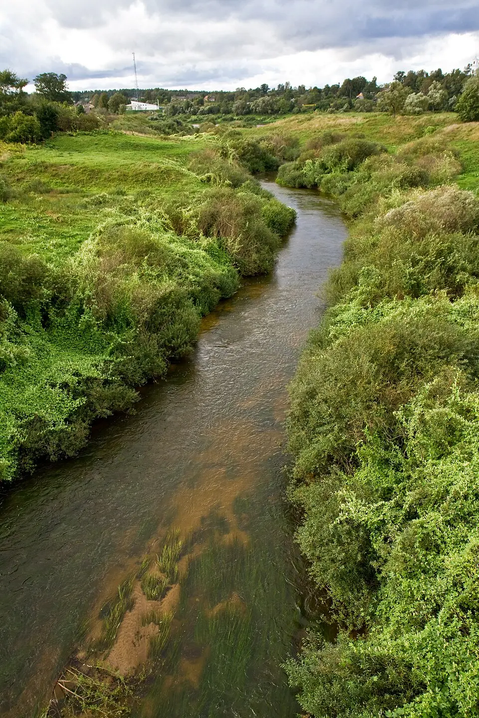 Drujka